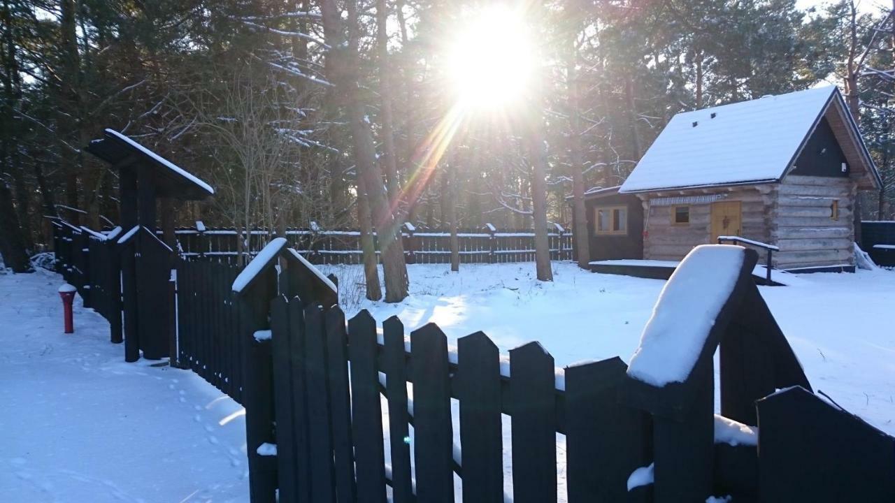 Baltic Dream Villa Rozewie Dış mekan fotoğraf
